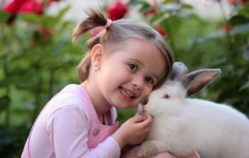 cruelty free skincare is catching on