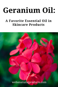 Geranium Oil A Skincare Favorite Blog Post