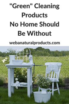 Green cleaning products no home should be without