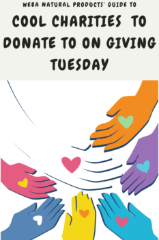 charities to donate to on Giving Tuesday